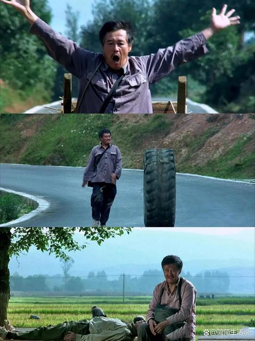 叶落归根在线观看_电影叶落归根西瓜免费网_叶落归根手机在线观看