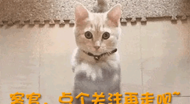 明星无戏可拍原因分析_观众口味变化对演员影响_娱乐圈的现况