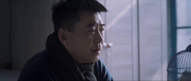 老乔与小庄的奇异鸟缘,温情背后隐藏的秘密探访